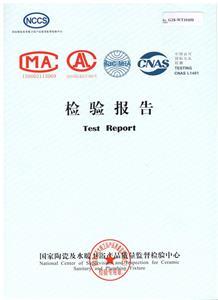 檢驗報告